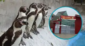 El costo de la pensión del reconocido colegio de Lima Norte que cuenta con su propio zoológico es de S/595.