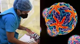 La Organización Panamericana de Salud emitió una alerta tras aumento del riesgo de brotes del serotipo DENV-3 en importantes países.