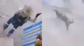 Cámaras de seguridad en Arequipa registraron el momento exacto donde un hombre atacó salvajemente a un perro de raza pequeña y dejándolo en coma.