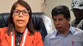 Pedro Castillo no tiene reparos en insultar a jueza Norma Carbajal durante su juicio oral: "La Herodías de esta sala"
