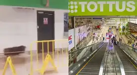 De acuerdo a los primeros informes, el incendió se registró en horas de la noche en Tottus de Open Plaza de Castilla en Piura. De acuerdo a los primeros informes, el incendió se registró en horas de la noche en Tottus de Open Plaza de Castilla en Piura.