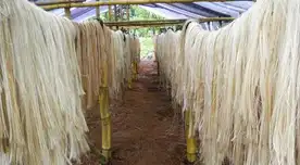 La UNI fabricará sacos textiles biodegradables