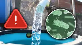 Alerta por presencia de heces en el agua potable de Sedapal.