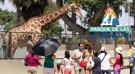 El Parque de las Leyendas anunció una increíble promoción durante el feriado largo por el Día del Trabajador 2025.