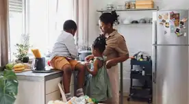 Este es el electrodoméstico más USADO en el Perú. Este es el electrodoméstico más USADO en el Perú.