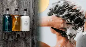 Solicitan el retiro de una reconocida marca de shampoo en Argentina.
