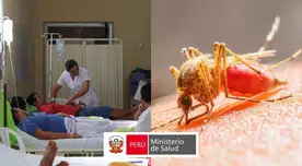 De acuerdo al último informe del Minsa, más de 46 personas infectadas y 13 fallecimientos durante el 2025. De acuerdo al último informe del Minsa, más de 46 personas infectadas y 13 fallecimientos durante el 2025.