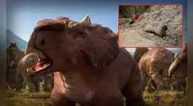 Aún hay un kilómetro entero lleno de huesos por investigar.