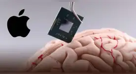 Este avance marca un hito en la neurotecnología.