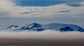 Su estudio es de gran interés científico.