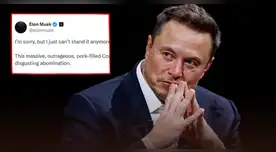 Musk toma distancia y critica el gobierno de Trump.