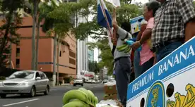 Empresa agrícola despide a todos sus empleados tras huelga de un mes.