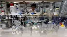 ¿Un plástico que imita al plástico?