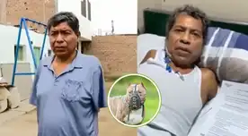 Pitbulls destrozan la vida de un peruano: sin brazos, en coma y sin respuesta legal.
