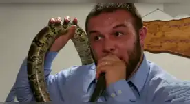 Pastor se deja morder por serpiente delante de sus fieles como prueba de fe pero fallece días después Pastor se deja morder por serpiente delante de sus fieles como prueba de fe pero fallece días después