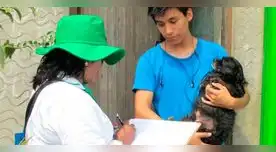 INEI incluirá un módulo sobre crianza de mascotas en la Encuesta Nacional de Hogares