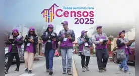 La remuneración será de S/ 6.000 por los tres meses de labor. Foto: INEI