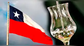Corte de Delhi valida denominación de origen del pisco chileno tras años de disputa
