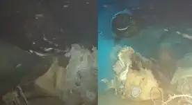 Lanzaron una vaca a las profundidades del mar de China: científicos querían simular el hundimiento de una ballena