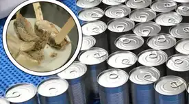Conoce cuál es la lata de atún que tiene alerta máxima en Chile.