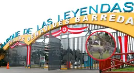 Así puedes disfrutar del Parque de las Leyendas en Fiestas Patrias: entradas, horarios y novedades