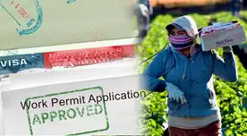 Empresa está BUSCANDO apicultores para trabajar en Estados Unidos.