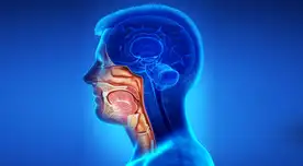 Día Mundial contra el Cáncer de Cabeza y Cuello: el enemigo silencioso que podría estar en tu cuerpo