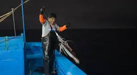 ¿Qué pasa en el mar peruano? Perú activa la Operación Calamar Gigante III tras alerta biológica