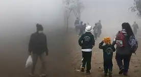 Conoce la fecha en la que inicia la primavera.