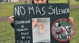 ¡Indignante! 12 perritos mueren envenenados en parque de Los Olivos y uno sobrevive con secuelas