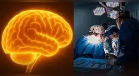 El nuevo método de diagnóstico para enfermedades neurológicas creado por científicos ingleses.