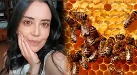 Andrea Fandiño Palacios no sopotó el ataque masivo de un enjambre de abejas en Colombia