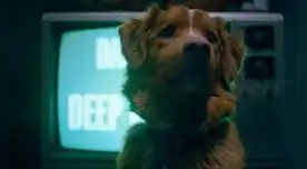 'Good Boy' llegará a las salas de cine en octubre próximo. Foto: Rotten Tomatoes