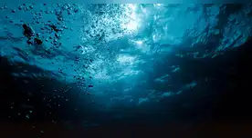 Científicos descubren fuente de hidrógeno en un lugar inesperado de la Tierra.