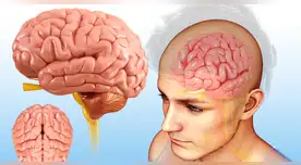 Científicos logran "leer la mente" en un impactante experimento con cerebros humanos. Científicos logran "leer la mente" en un impactante experimento con cerebros humanos.