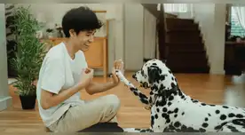 ¿Quieres que tu perro viva más? Así funciona la pastilla que podría hacerlo posible.