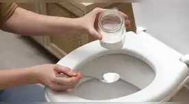 Por qué hay que tirar sal en el inodoro y cada cuánto hacerlo para ahorrar en productos de limpieza
