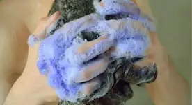 A través de un comunicado oficial, la Cofepris anunció el retiro inmediato del shampoo Totale de Tec Italy por la presencia de una peligrosa bacteria en México.