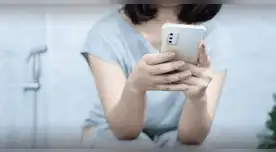 Científicos de Harvard advierten sobre los peligros de usar el celular en el baño.