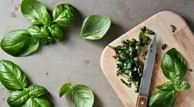 Descubre los beneficios de la albahaca y aprende cómo incorporarla en tu dieta.