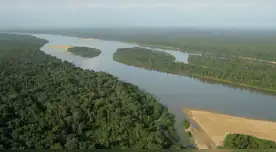 El Amazonas tiene la clave para frenar la próxima pandemia, según científicos.