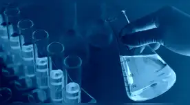 Estudio científico revela vínculo entre sustancia química y la pubertad precoz en niñas. Estudio científico revela vínculo entre sustancia química y la pubertad precoz en niñas.