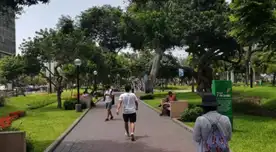 El invierno se termina: conoce cuándo y a qué hora empieza la primavera 2025 en Perú, según Senamhi