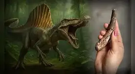 Paleontólogos hallan el primer fósil de espinosaurio en la Amazonía peruana. Paleontólogos hallan el primer fósil de espinosaurio en la Amazonía peruana.