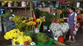 Clausuran mercado de flores en el Rímac antes del Día de la Primavera y pérdidas llegan a S/20 mil: ¿qué dice la municipalidad sobre esta medida?