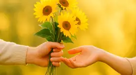 Las flores amarillas se regalan en diversas partes de Latinoamérica este 21 de sepiembre