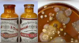 Científicos descubren microbios de hace 130 años dentro de antiguos frascos de mantequilla. Científicos descubren microbios de hace 130 años dentro de antiguos frascos de mantequilla.