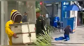 Jesús María: retiran 80 mil abejas de una vivienda tras ataque a joven con múltiples picaduras Jesús María: retiran 80 mil abejas de una vivienda tras ataque a joven con múltiples picaduras