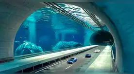 Tendrá 14 kilometros y atravesará la cordillera a 4000 metros de altura: el mega proyecto para unir Argentina con el Pacífico