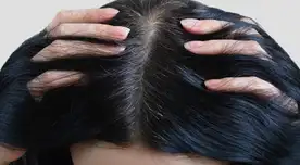 Walmart tiene el champú económico que quita las canas y deja acabado profesional en casa.